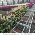 Galvanized Wire Mesh Greenhouse Rolling Benches